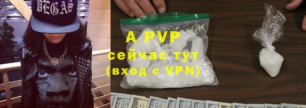 стаф Карпинск