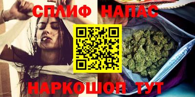спиды Кинель