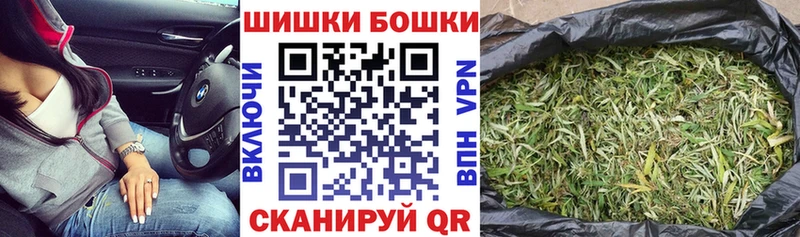 наркота  mega как зайти  Шишки марихуана ГИДРОПОН  Котовск 